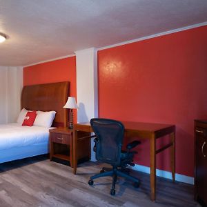 Premium King Room
